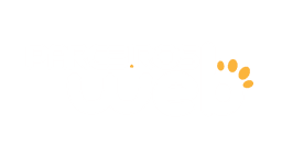 Parceiros Web